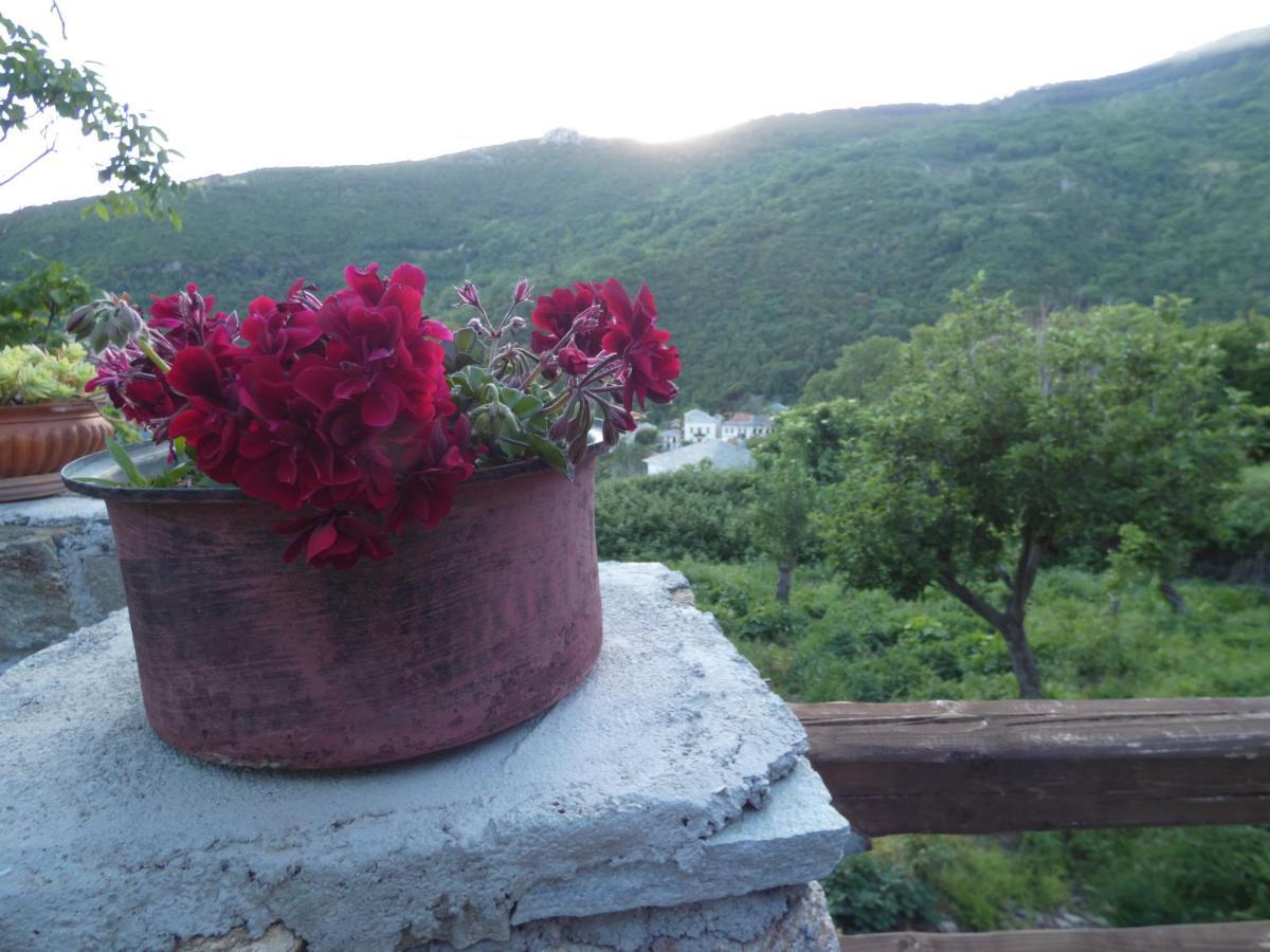 Villa Efrosini Dhrákia Buitenkant foto